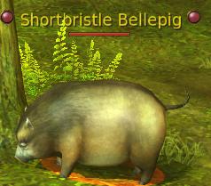 Shortbristle Bellepig